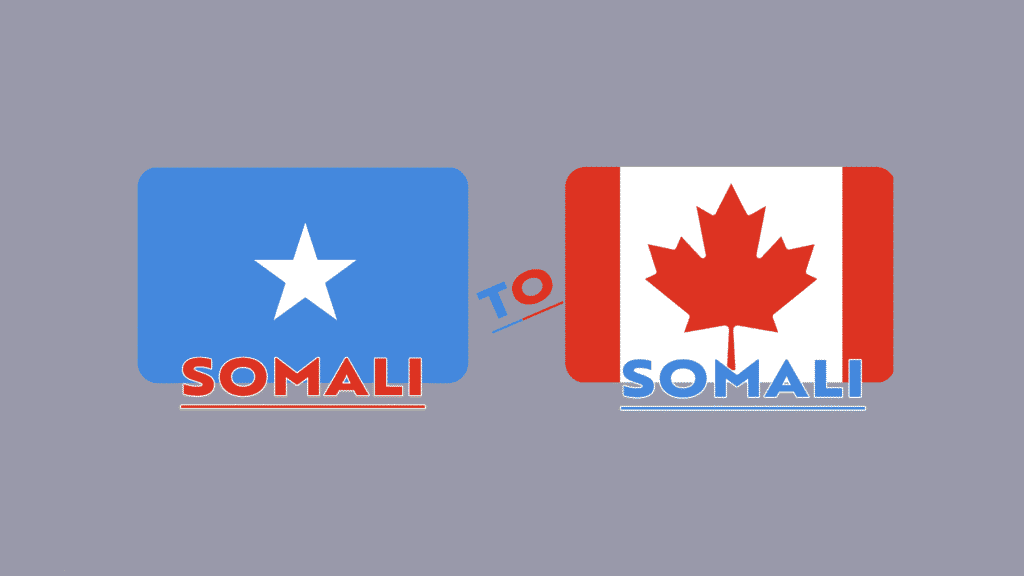 Discover why Somali-English translation requires human translators. AI helps with speed, but only people preserve accuracy, culture, and meaning.