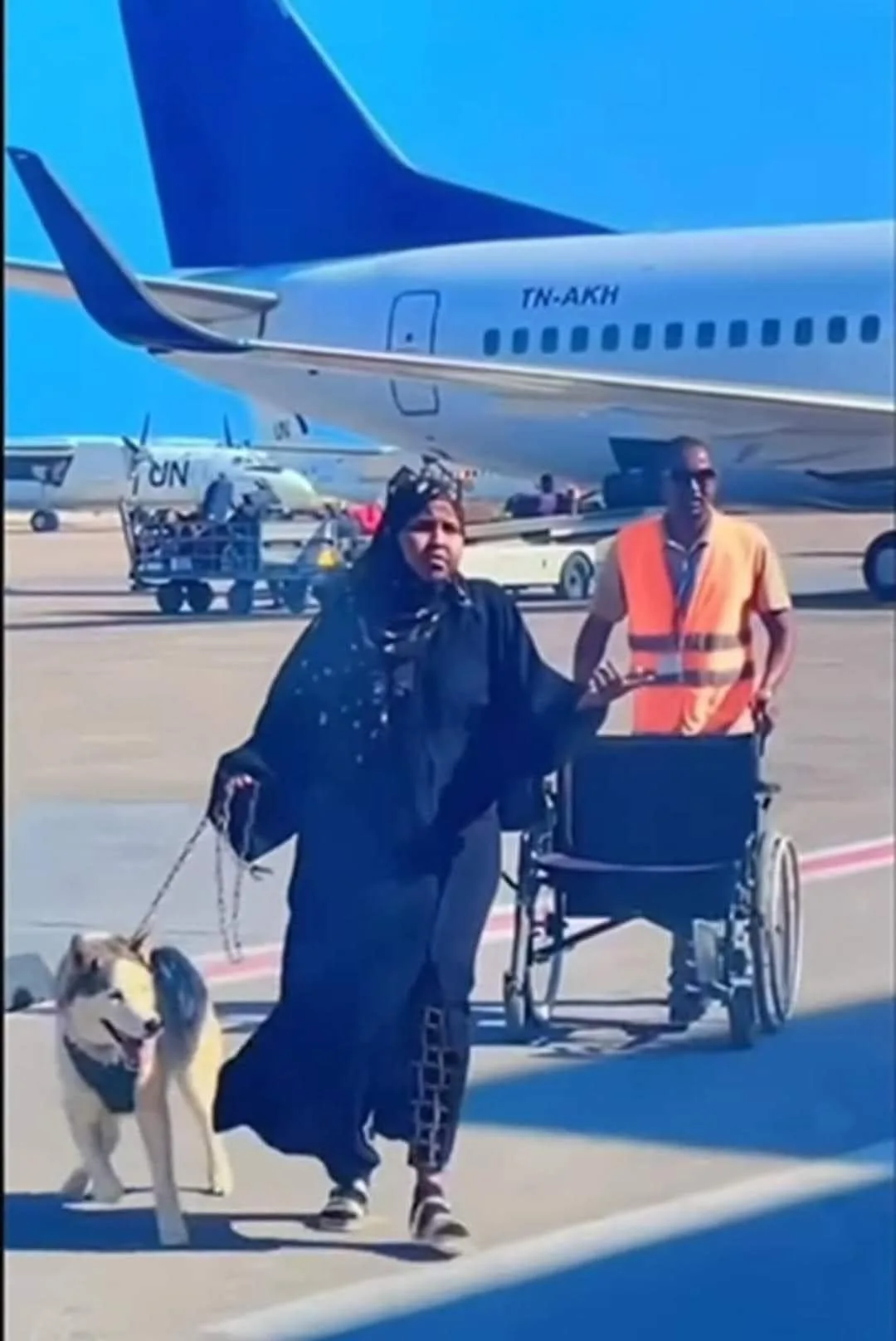 Controversy Surrounds Photo of Somali Woman with Siberian Husky at Mogadishu Airport