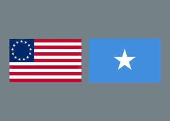 Somali Population in the USA 2025: Census Statistics & Growth