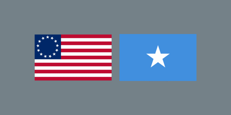 Somali Population in the USA 2025: Census Statistics & Growth